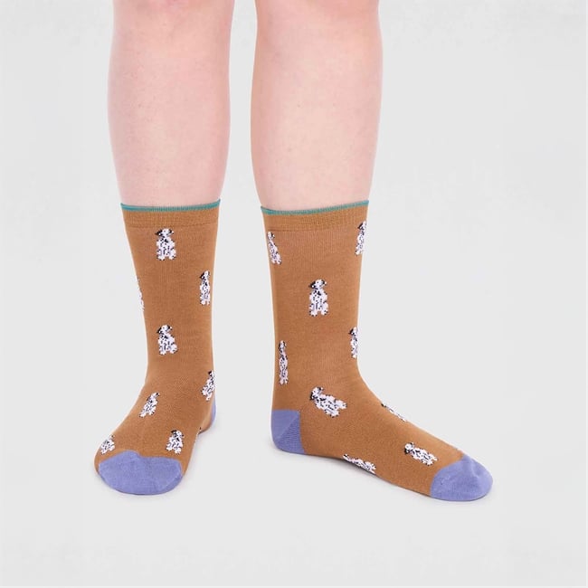 Kenna Bamboo Dog Socks 