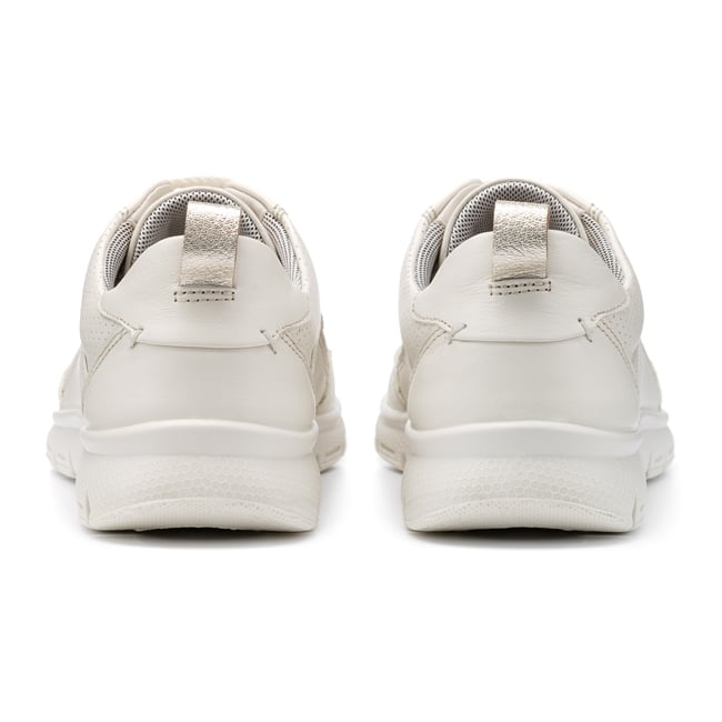 Gravity II Trainers