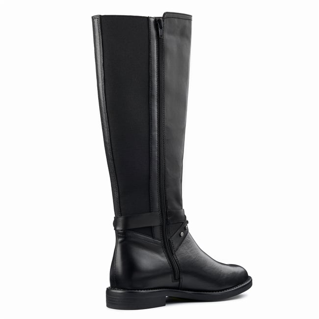 Dana Boots
