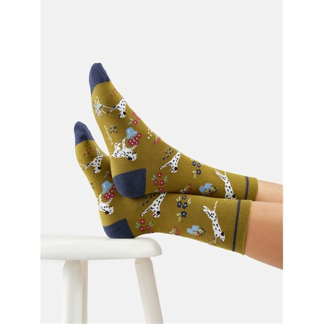 Dog, Dig and Dash crew socks