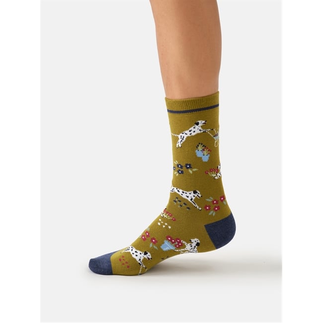 Dog, Dig and Dash crew socks