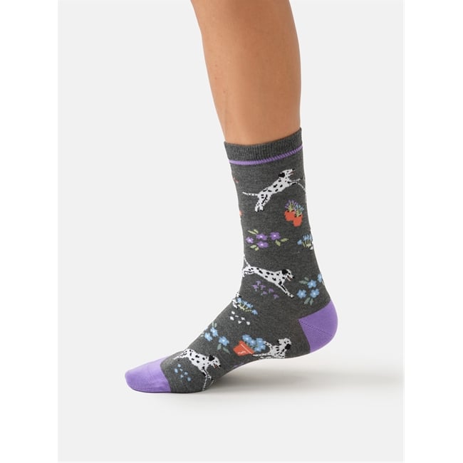 Dog, Dig and Dash crew socks