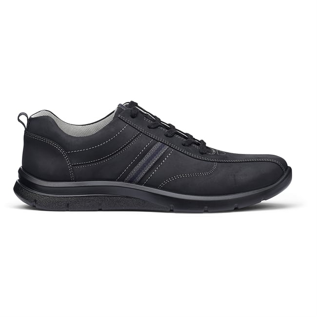 Division Trainers
