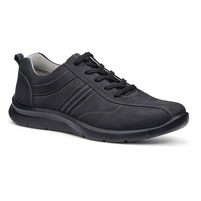 Division Trainers