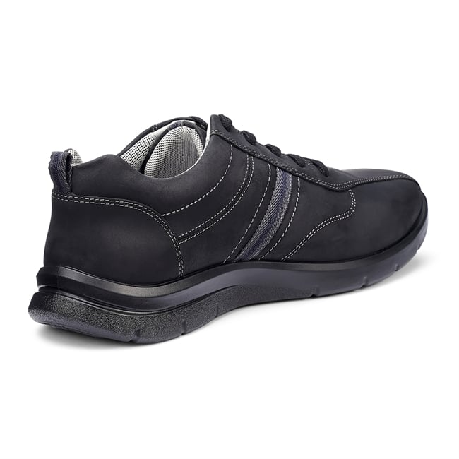 Division Trainers