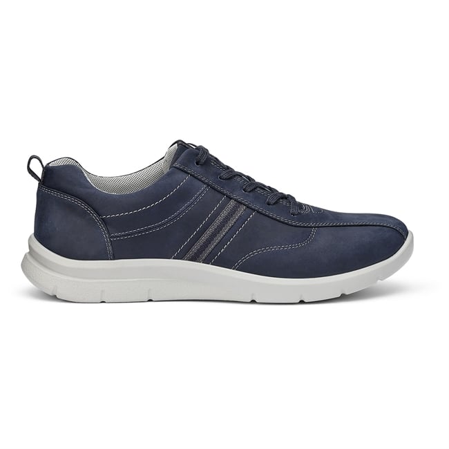 Division Trainers