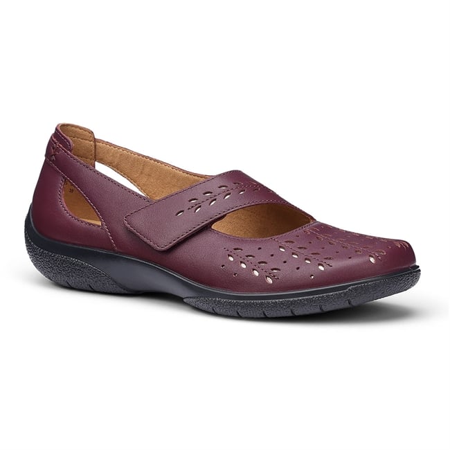 Daphne Shoes