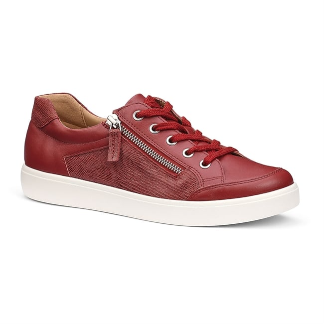 Chase II Trainers