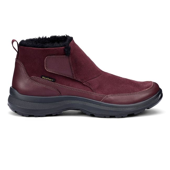 Gale Shoes
