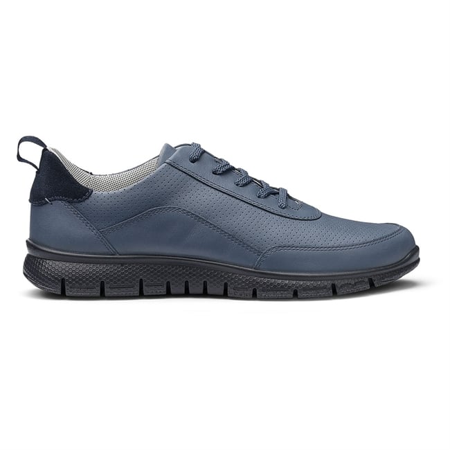 Gravity II Trainers