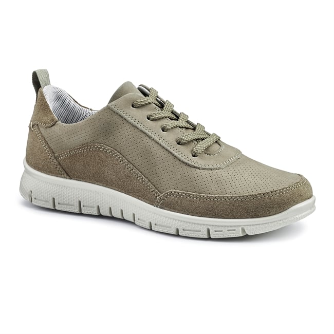 Gravity II Trainers