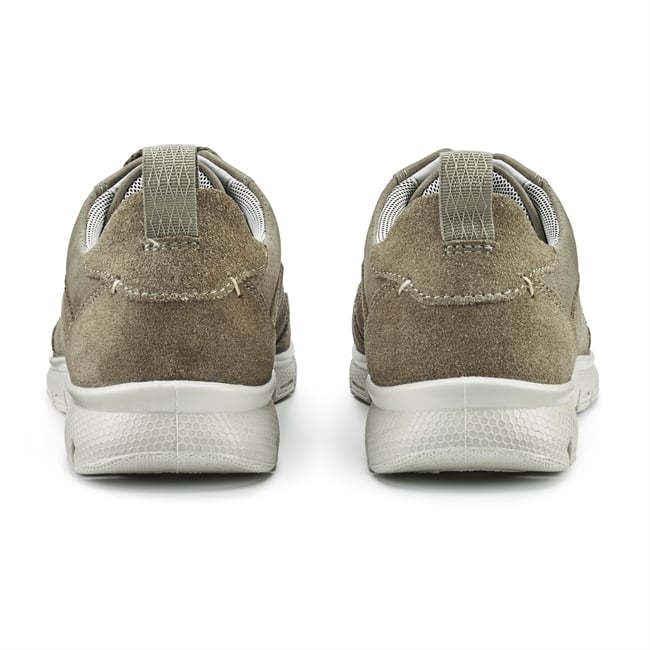 Gravity II Trainers