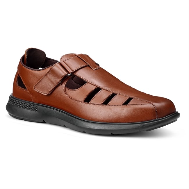 Marlin Shoes