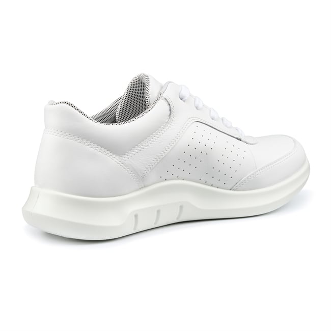 Orion Trainers