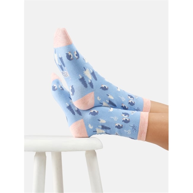 Penguin, Polar Bear, Hare Socks