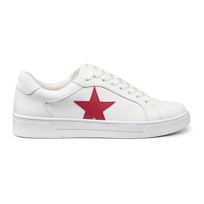 Star Trainers