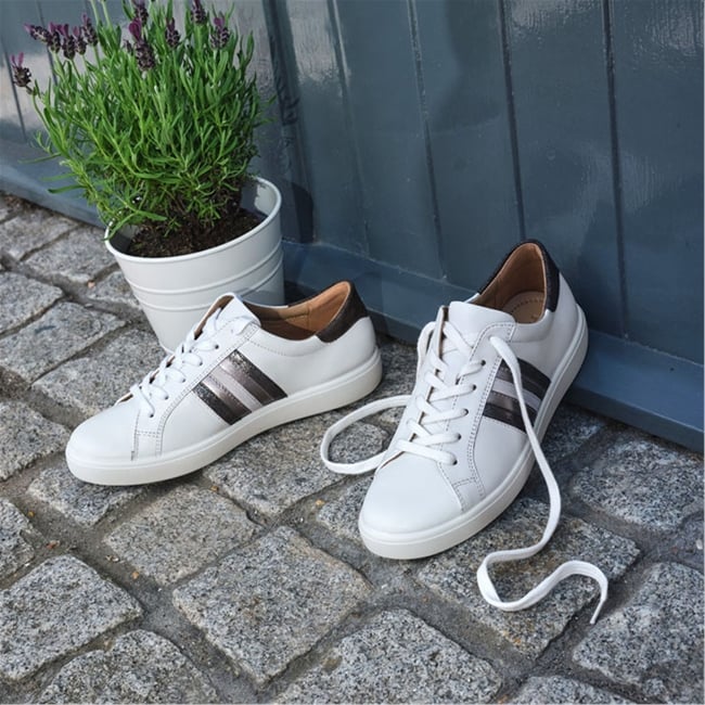 Switch Trainers