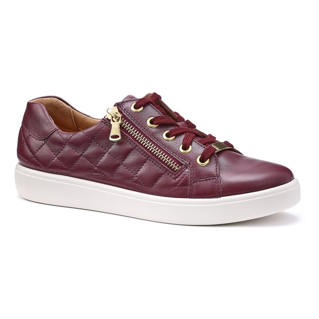 Wonder Trainers