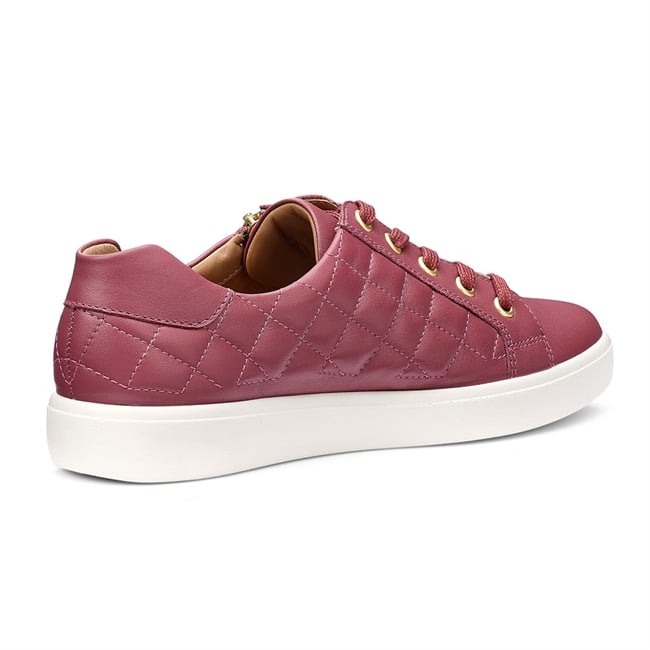 Wonder Trainers