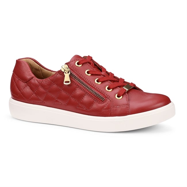 Wonder Trainers