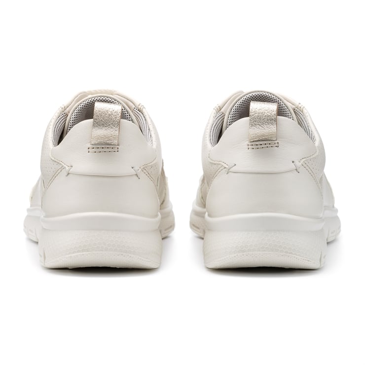 Gravity II Trainers