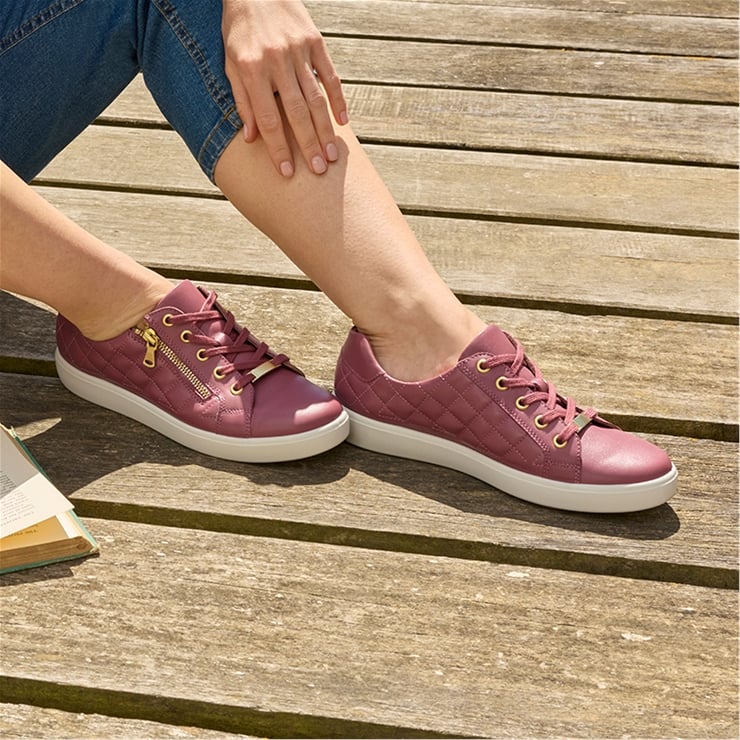 Wonder Trainers
