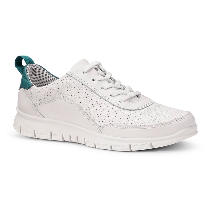 Gravity II Trainers