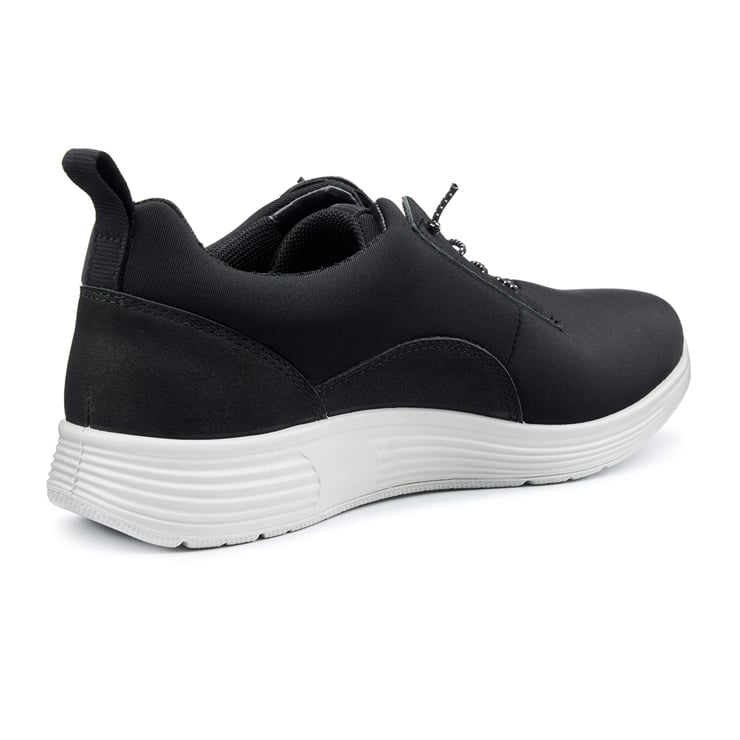 Dash Trainers