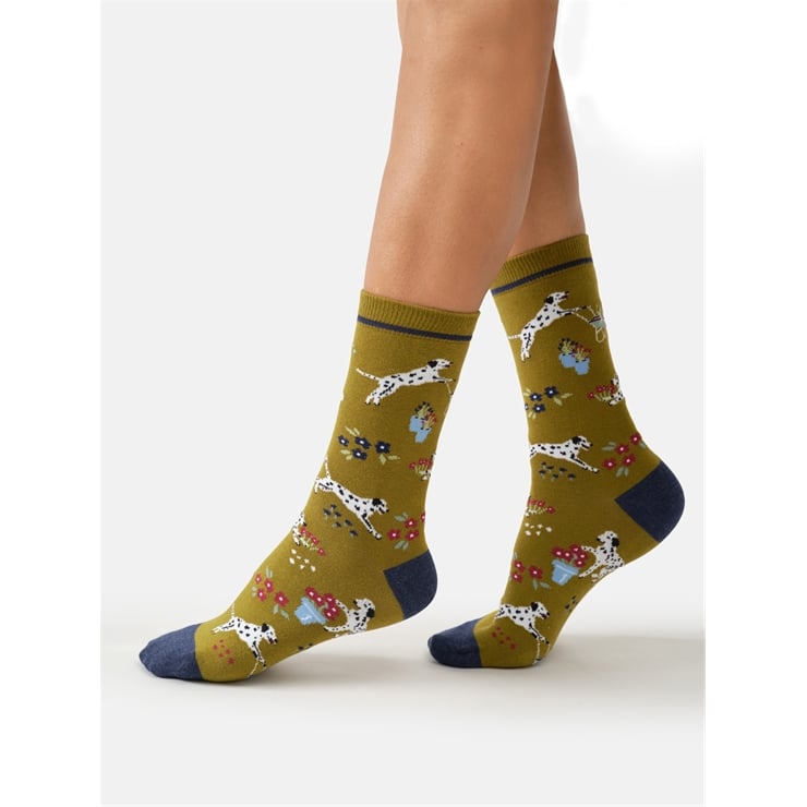 Dog, Dig and Dash crew socks