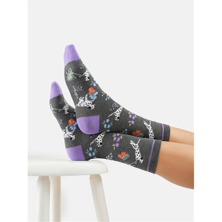 Dog, Dig and Dash crew socks