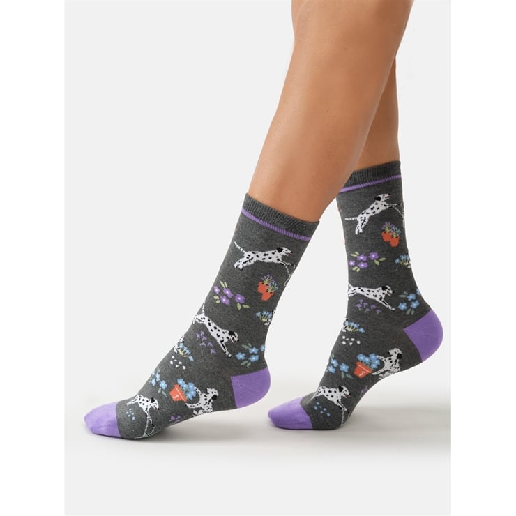 Dog, Dig and Dash crew socks