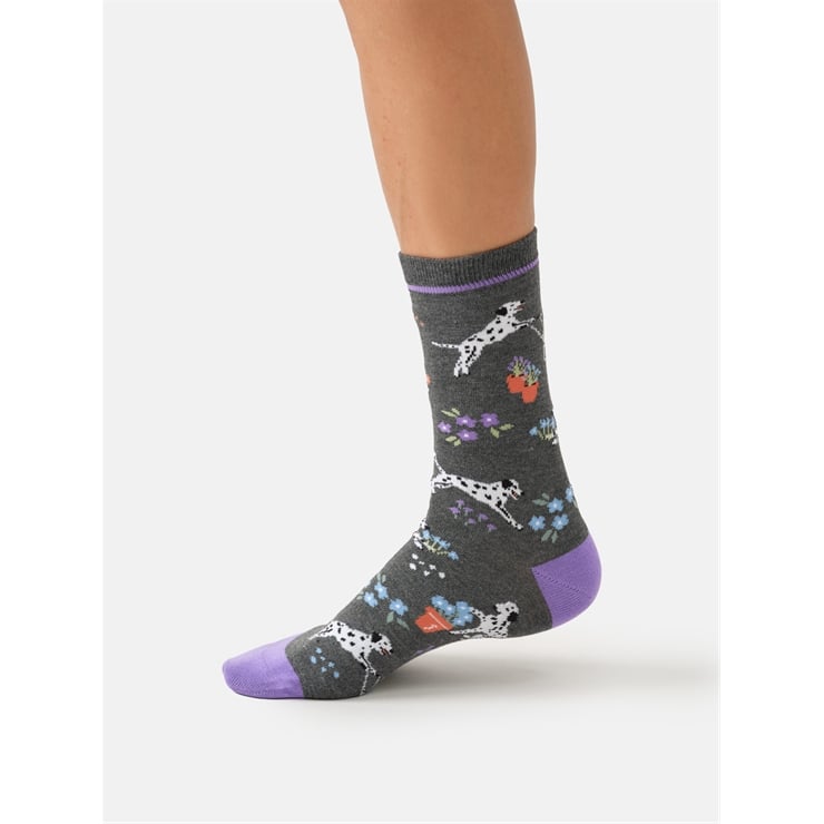 Dog, Dig and Dash crew socks