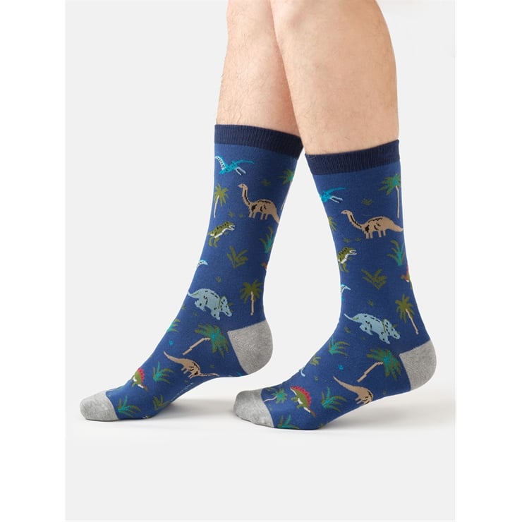 Dinosaur Terrain socks