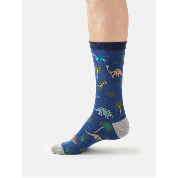 Dinosaur Terrain socks