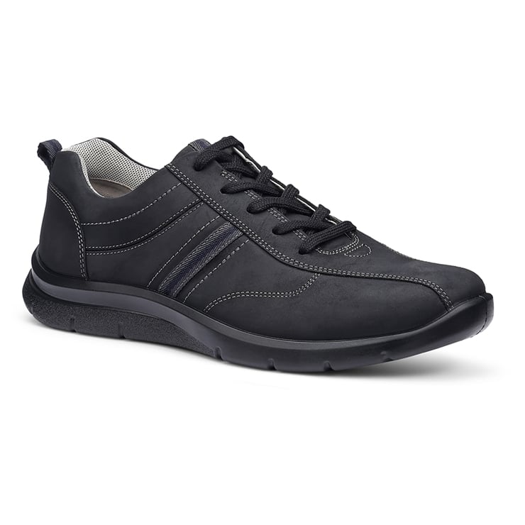 Division Trainers