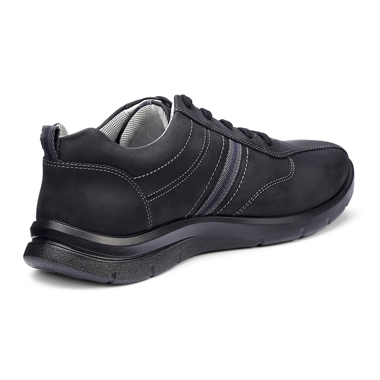 Division Trainers