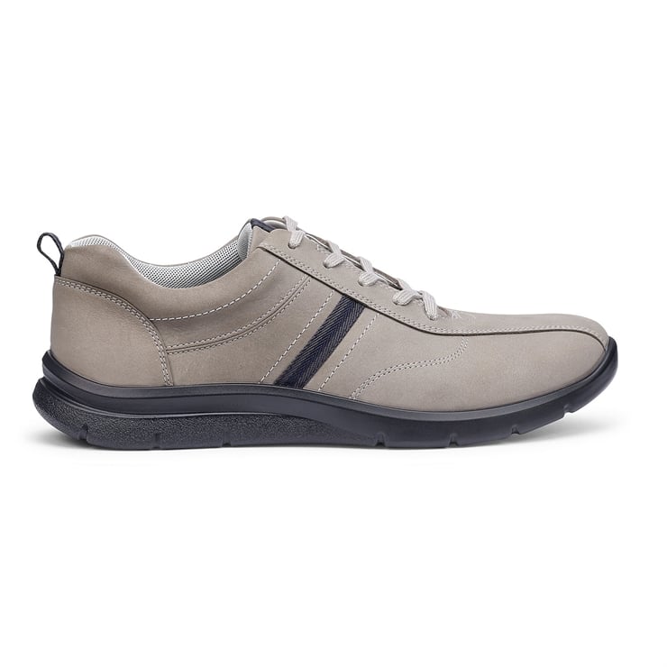 Division Trainers