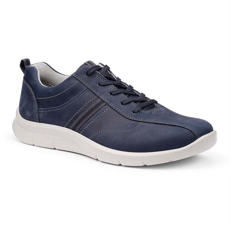 Division Trainers