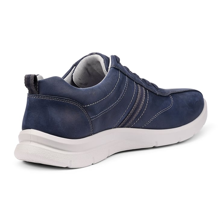 Division Trainers