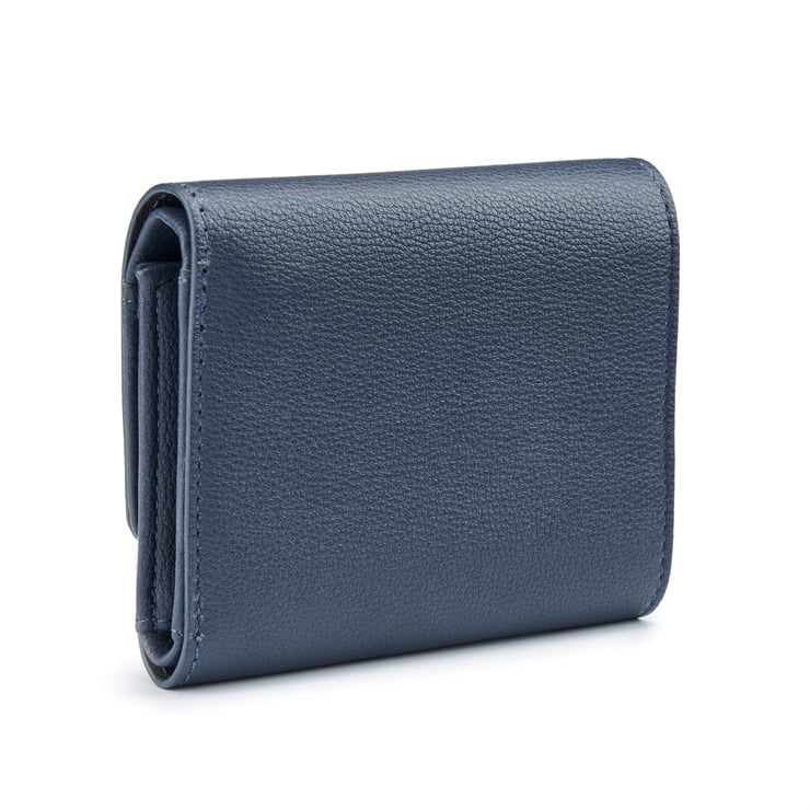 Polly Purse