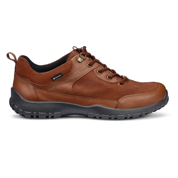 Flint GTX Shoes
