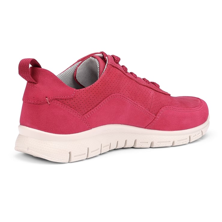 Gravity II Trainers