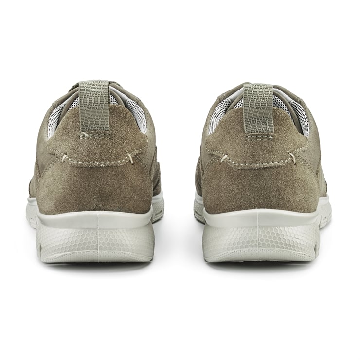 Gravity II Trainers