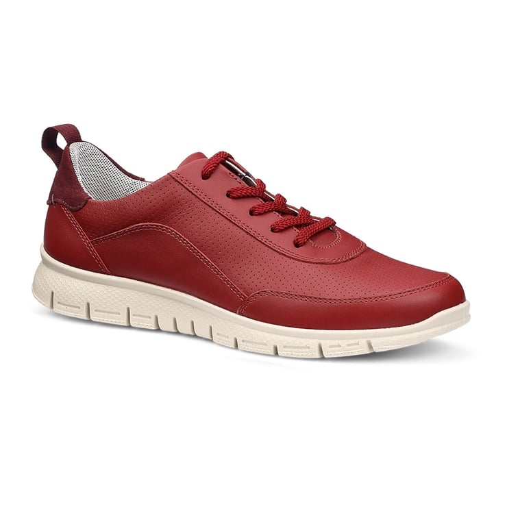Gravity II Trainers