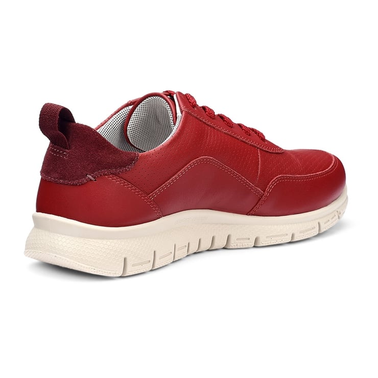 Gravity II Trainers