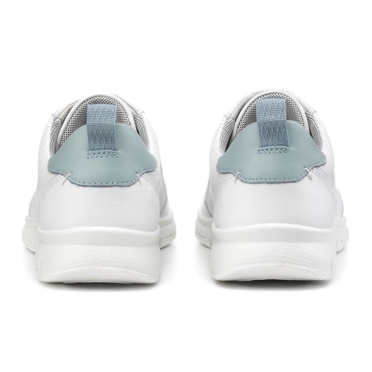 Gravity II Trainers