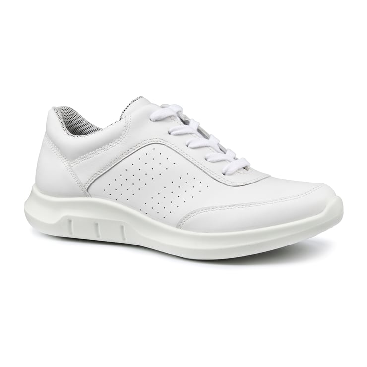 Orion Trainers
