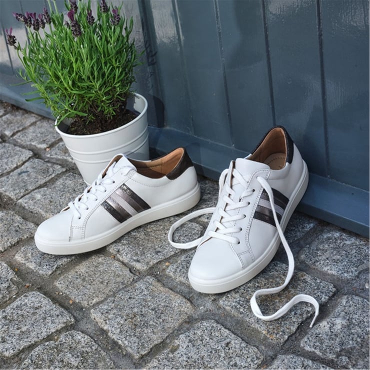 Switch Trainers