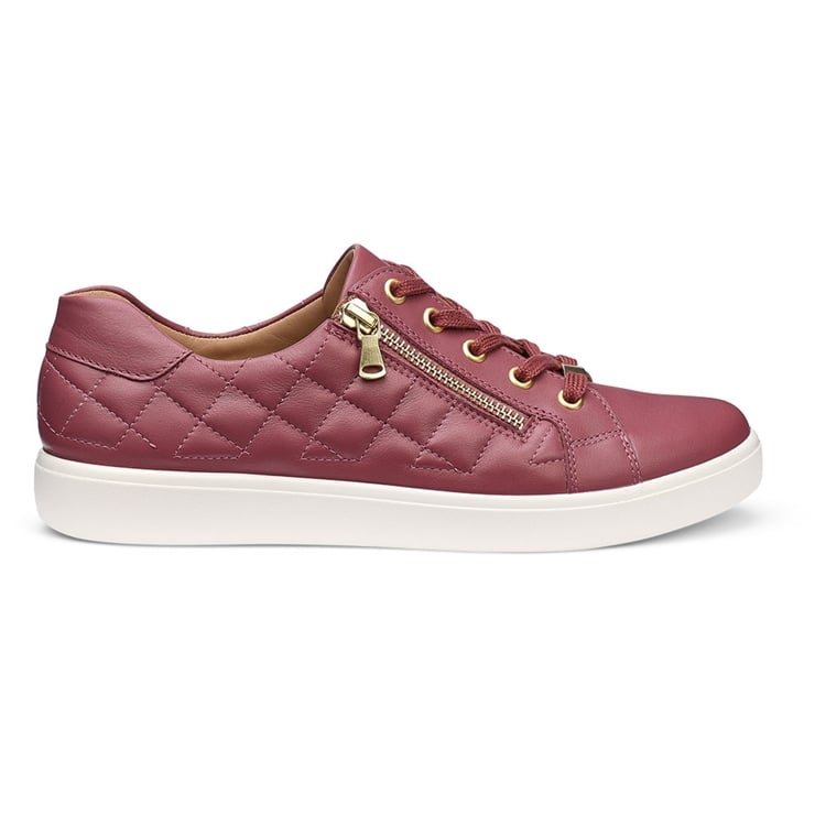 Wonder Trainers
