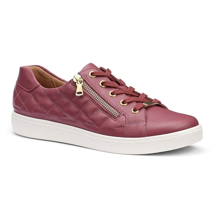 Wonder Trainers